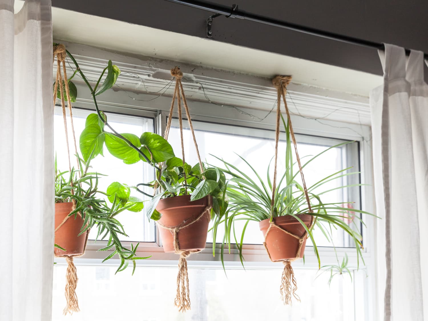 Hanging planters store